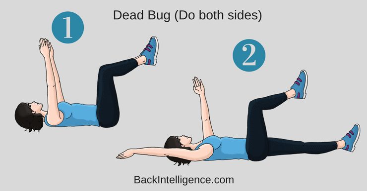 Dead Bug