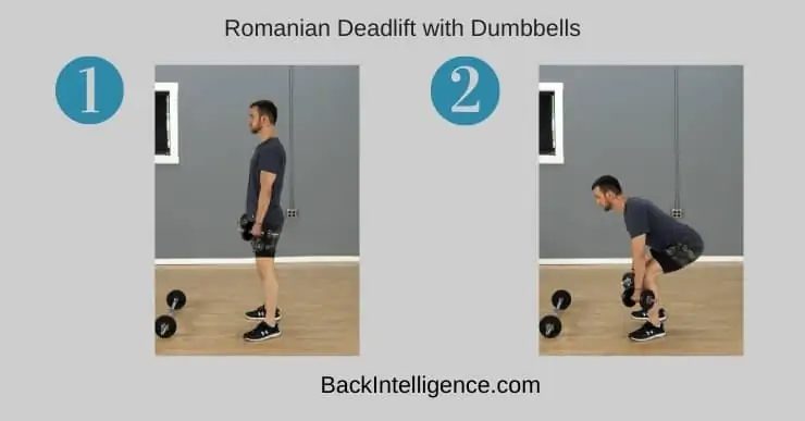 Hip Hinge (Dumbbell RDL)
